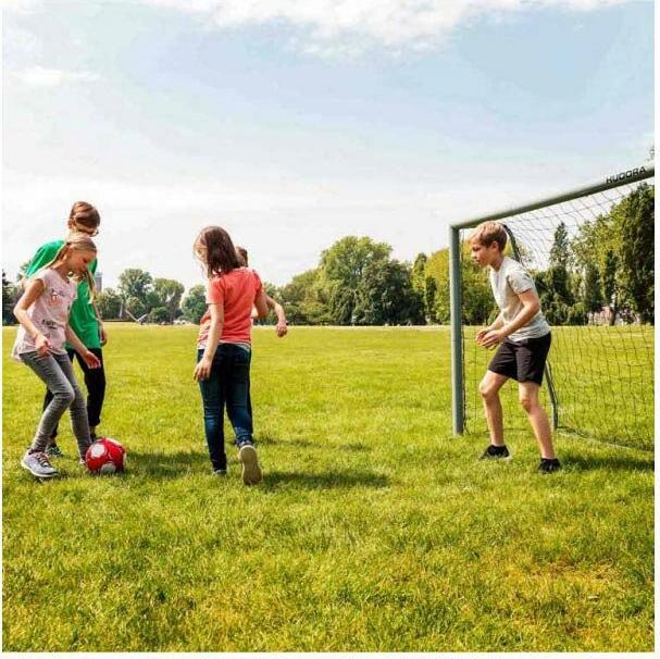 Actual product image Hudora Football goal Expert 300