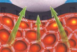 Produktbild Butterfly Belag Tenergy 64 (2.10 mm)