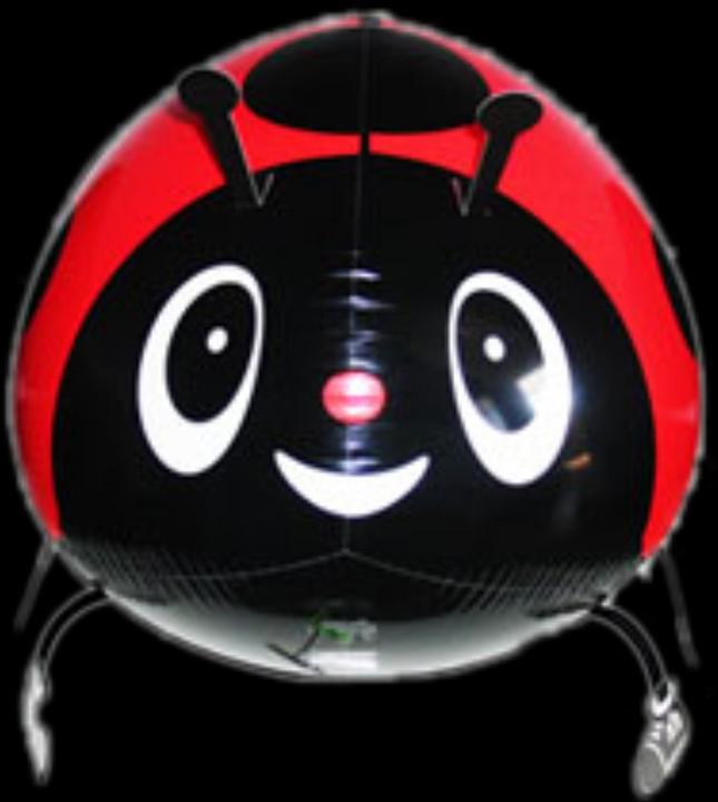 Actual product image Ballon Müller Mini Walker Ladybird 57 cm