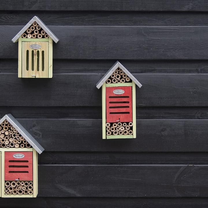 Actual product image Esschert Design Insect hotel (Ladybirds, Wild bees, Bee, Lacewings)