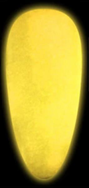 Image du produit Canni Vernis en gel Fluorescence YG02 UV/LED (Orange, Vernis semi-permanent)