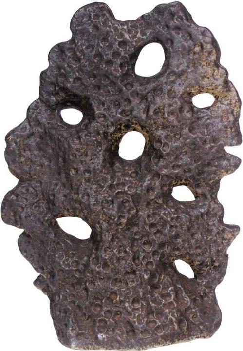Image du produit Muubs Soil Sculpture - L (9490002111)