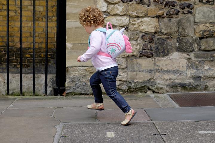 Actual product image Littlelife Toddler Backpack