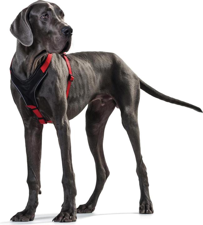 Produktbild Hunter Geschirr NeoprenNylon (XL, Hund, Hundesport)