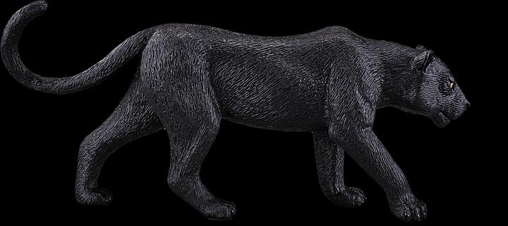 Actual product image Mojo Black Panther
