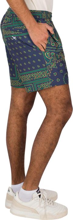 Produktbild iriedaily shorts (XL)