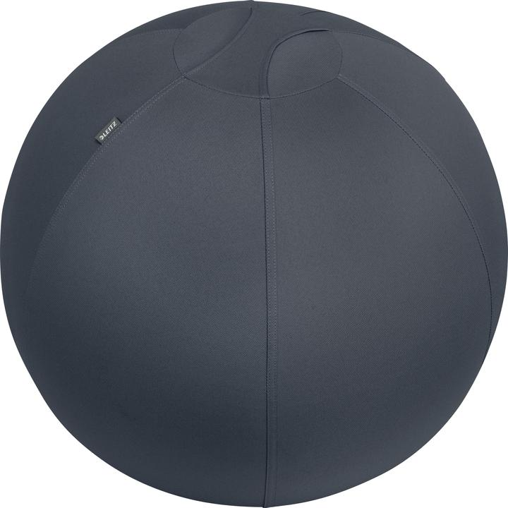 Leitz Sitting Ball Ergo Cosy (65 cm)