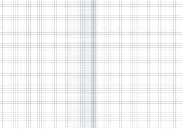 Immagine prodotto Staufen Carta da ufficio, 80 g/m², DIN A3, quadrettata 5 mm, bianca, 250 fogli (80 g/m², 250 x, A3)