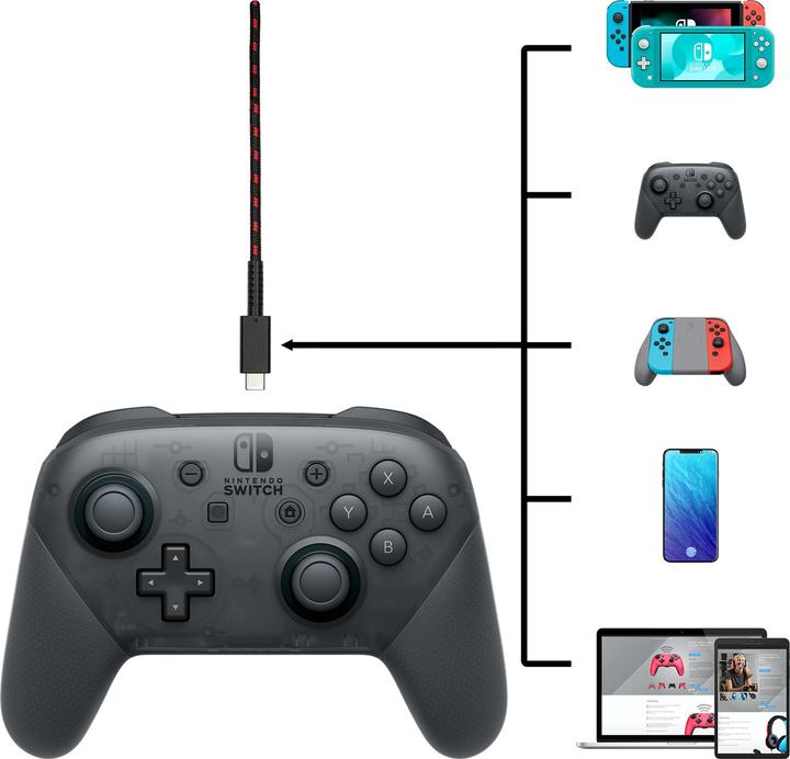 Actual product image PDP Charging cable (Switch)