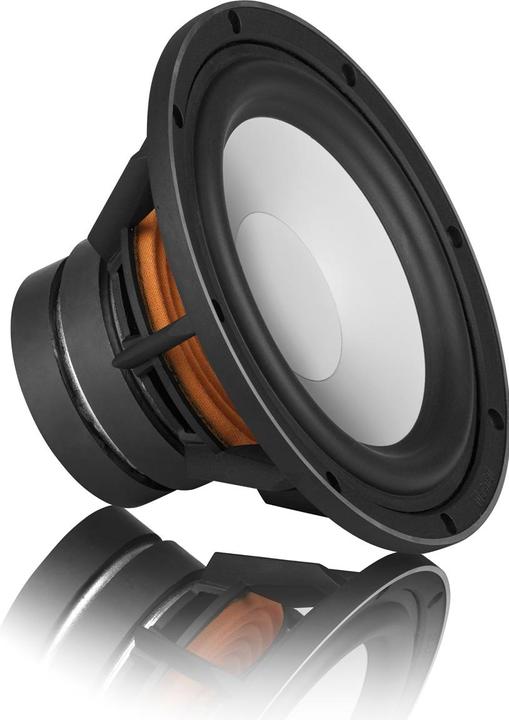 Actual product image Magnat Signature 707 (1 pair, 380 W)