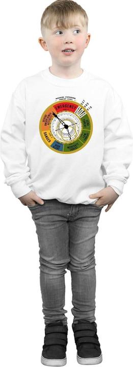 Image du produit Fantastic Beasts - Sweat THREAT LEVEL - Garçon (116)