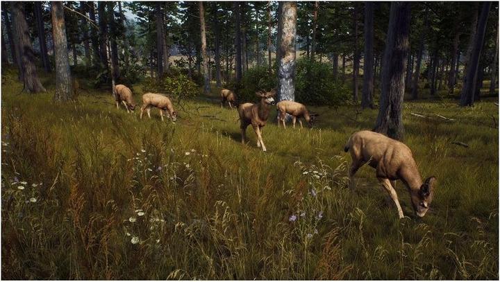Immagine prodotto THQ La via del cacciatore - Stagione di caccia 1 (Xbox Series X, EN)