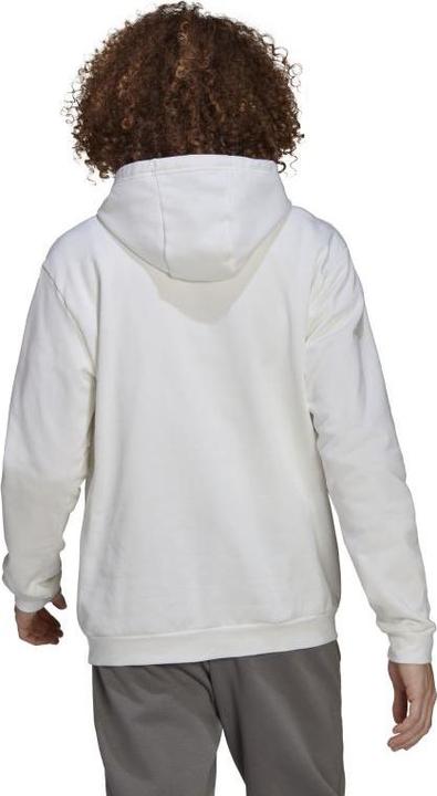 Actual product image adidas Entrada 22 hoodie men (L)