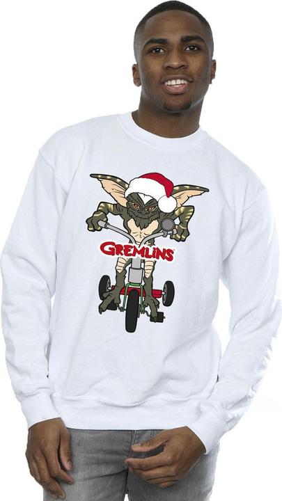 Image du produit Universal Textiles - Sweat BIKE LOGO - Homme (XL)