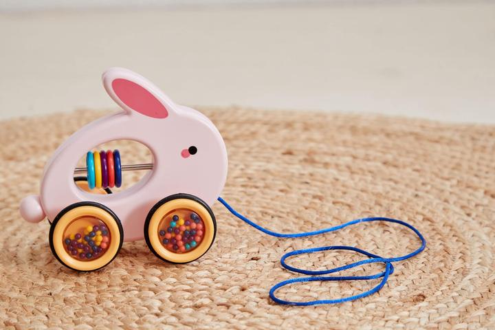Actual product image Scandinavian Baby Products Rabbit pull