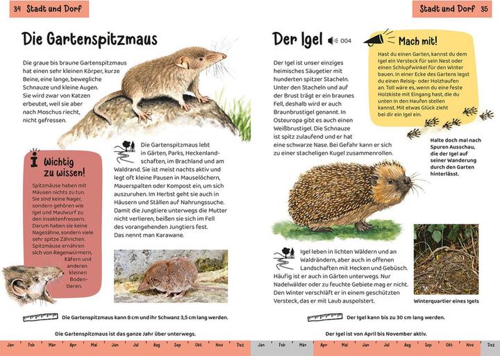 Produktbild Kosmos Tier- und Pflanzenführer. Kindernaturführer