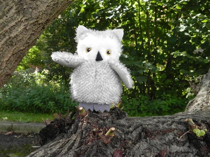Produktbild Apples to Pears Gift in a Tin - Sew me up OWL - Geschenkbox