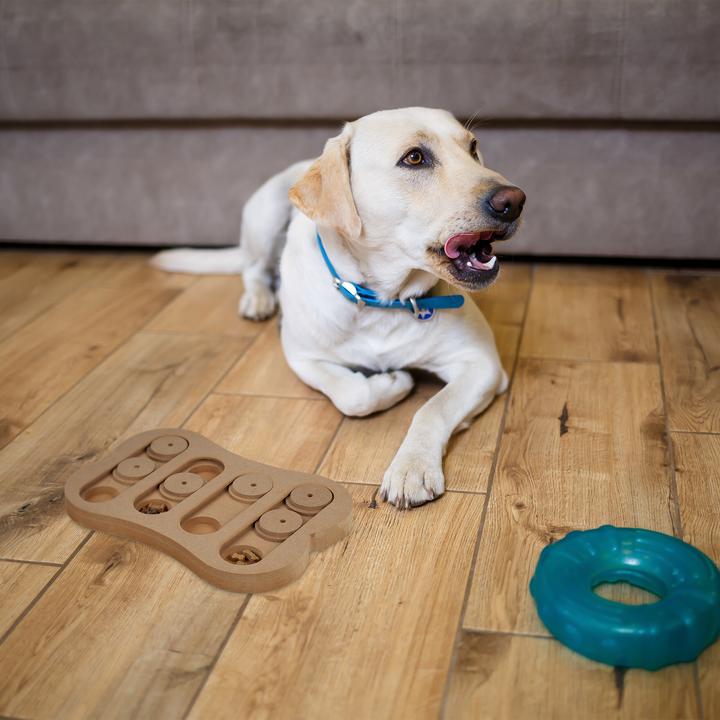 Actual product image Relaxdays Dog intelligence toy (Intelligence toy dog)