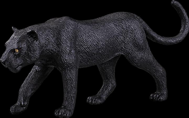 Actual product image Mojo Black Panther
