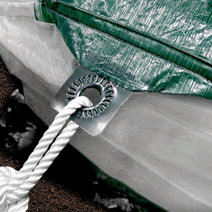 Actual product image Bio Green Super Dome