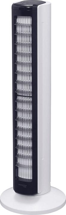 Immagine prodotto Iris Ohyama Ventilatore Woozoo TWFC82T