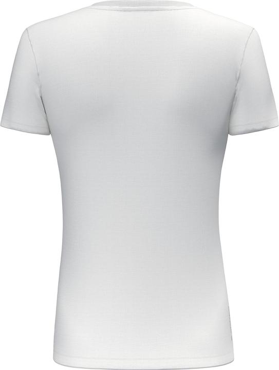 Produktbild Salewa Pure Design Dry T-Shirt (40, L)