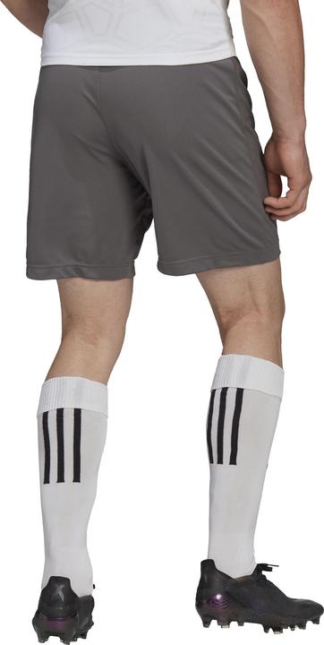 Actual product image adidas Entrada 22 Shorts (3XL)