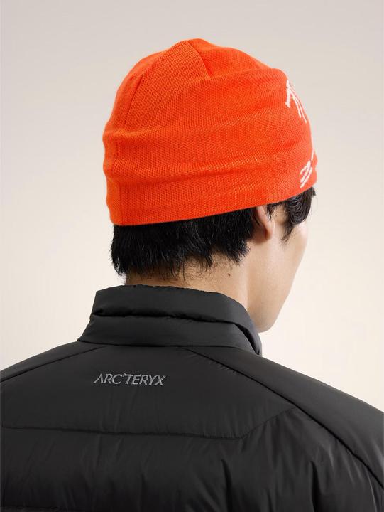 Produktbild Arc'teryx Bird Head