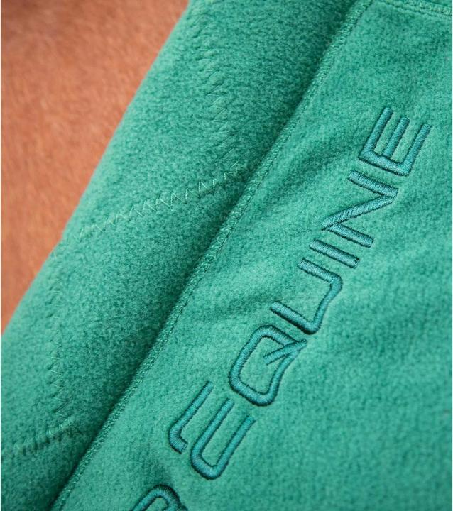 Produktbild Premier Equine Buster Continental 280g (213 cm)