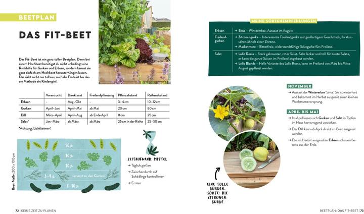 Actual product image Keine Zeit zu gärtnern – Easy Ernteglück im Hochbeet (German, Jessica Achtsnicht, 2024)