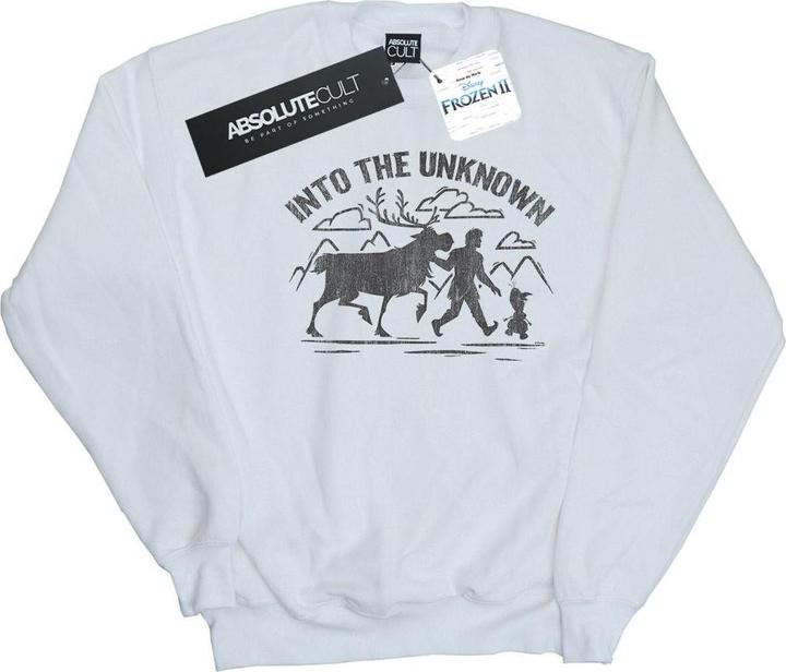 Produktbild Disney Frozen 2 Into The Unknown Sweatshirt Jungen (152, 158)