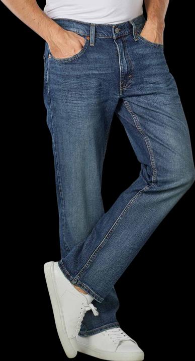 Image du produit Levis 10018277 (W29/L30)