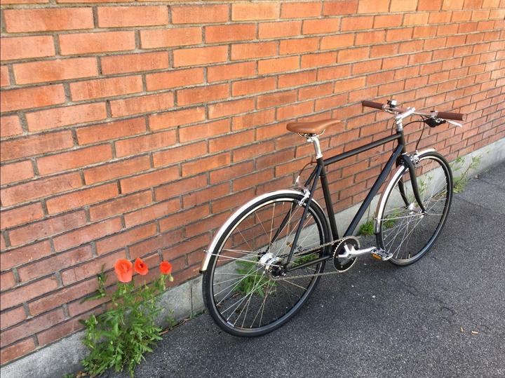 Image du produit Fam. Huber Robin (55 cm)