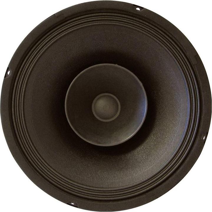 Actual product image Rockwood BLANKO PA Bass Fullrange 200 mm Guitar Speaker
