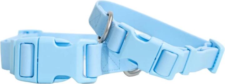 Hundehalsband (M, Hund, Allgemein)