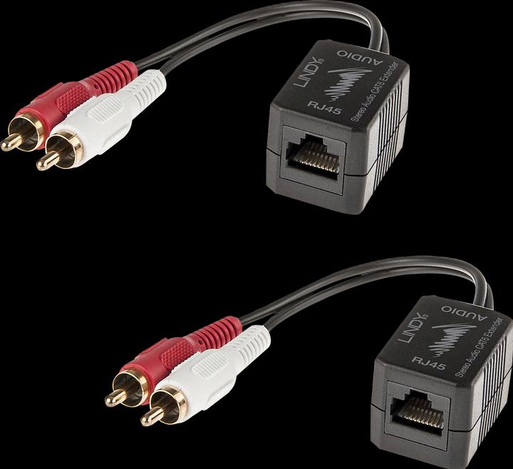 Image du produit Lindy Cat.5/6 100m 2x RCA (Rallonge)