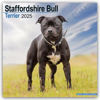 Produktbild Avonside Publishing Ltd:Staffordshire B (305 x 305 mm, Deutsch)
