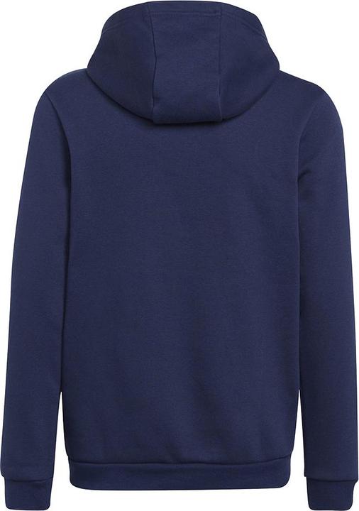 Actual product image adidas Entrada 22 hoodie kids (128)