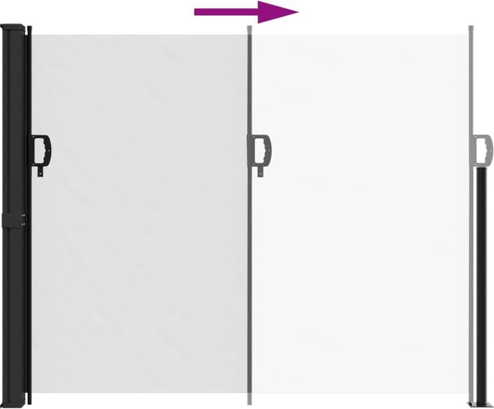 Actual product image VidaXL Extendable side awning (1.60 m)