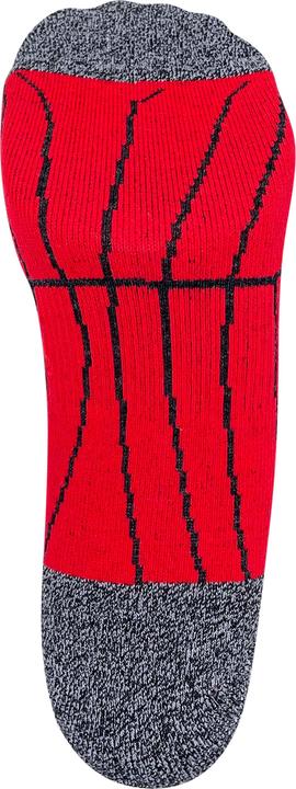 Immagine prodotto DRASSN Vohenstrauss Merino (39 - 41)
