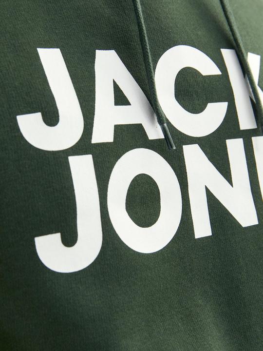 Image du produit Jack & Jones Logo Hoodie (L)