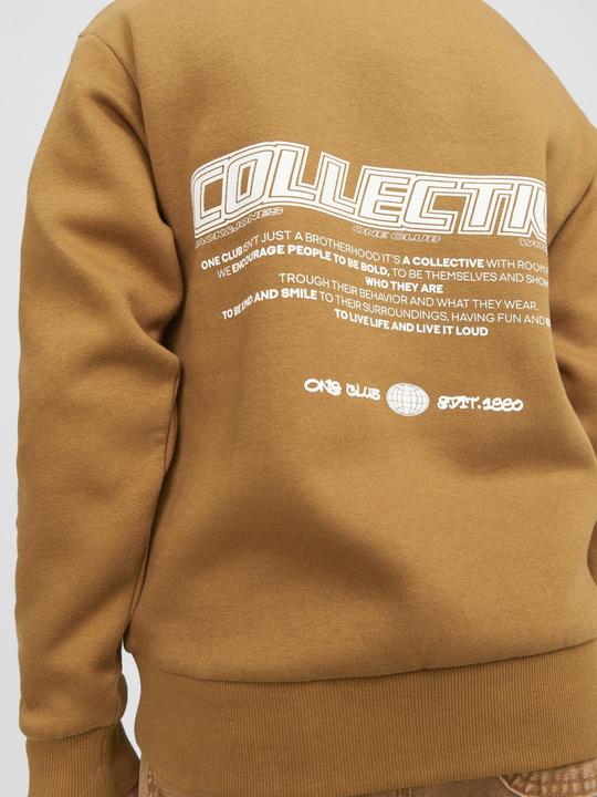 Produktbild Jack & Jones Jorcollect Edt Loose Sweat Crew Jnr (140)