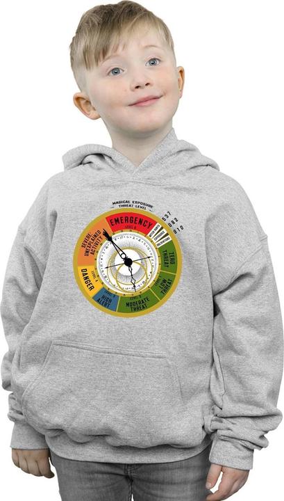 Image du produit Fantastic Beasts - Sweat à capuche THREAT LEVEL - Garçon (140, 146)