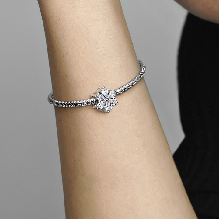 Image du produit Pandora Timeless (Argent 925)