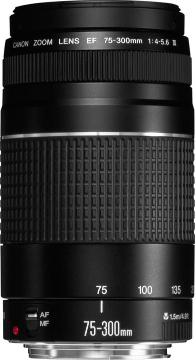 Canon EF 75-300mm f/4.0–5.6 III (Canon EF, APS-C / DX)