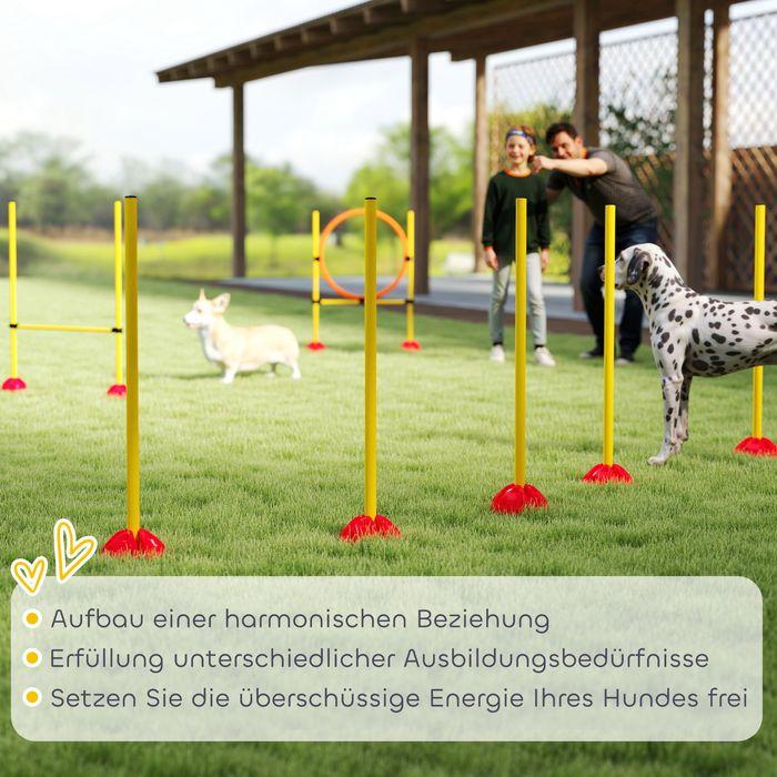Produktbild Swisshandel24 Agility Set Hunde 3-teiliges befüllbar Agility-Ausrüstung für Hundetraining (Agility)