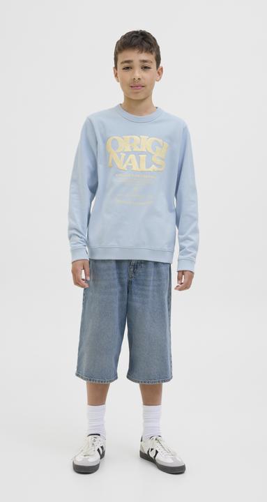 Produktbild Jack & Jones Gedruckt Sweatshirt Junior Sweatshirt (164)