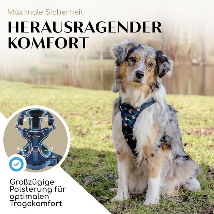 Immagine prodotto Freudentier Atmungsaktives Hundegeschirr mit Griff & Polsterung (M, Cane)