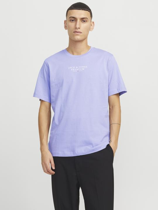 Actual product image Jack & Jones Jprbluarchie Ss Tee Crew Neck Noos (XXL)