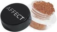Actual product image Affect CHARMY Pigment Loose Eyeshadow N-0141 2g